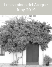 Los caminos del Azogue