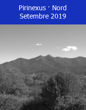 Pirinexus � Nord - De Ripoll a Girona