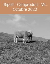 En Bicicleta de Ripoll a Vic, passant per Camprodon